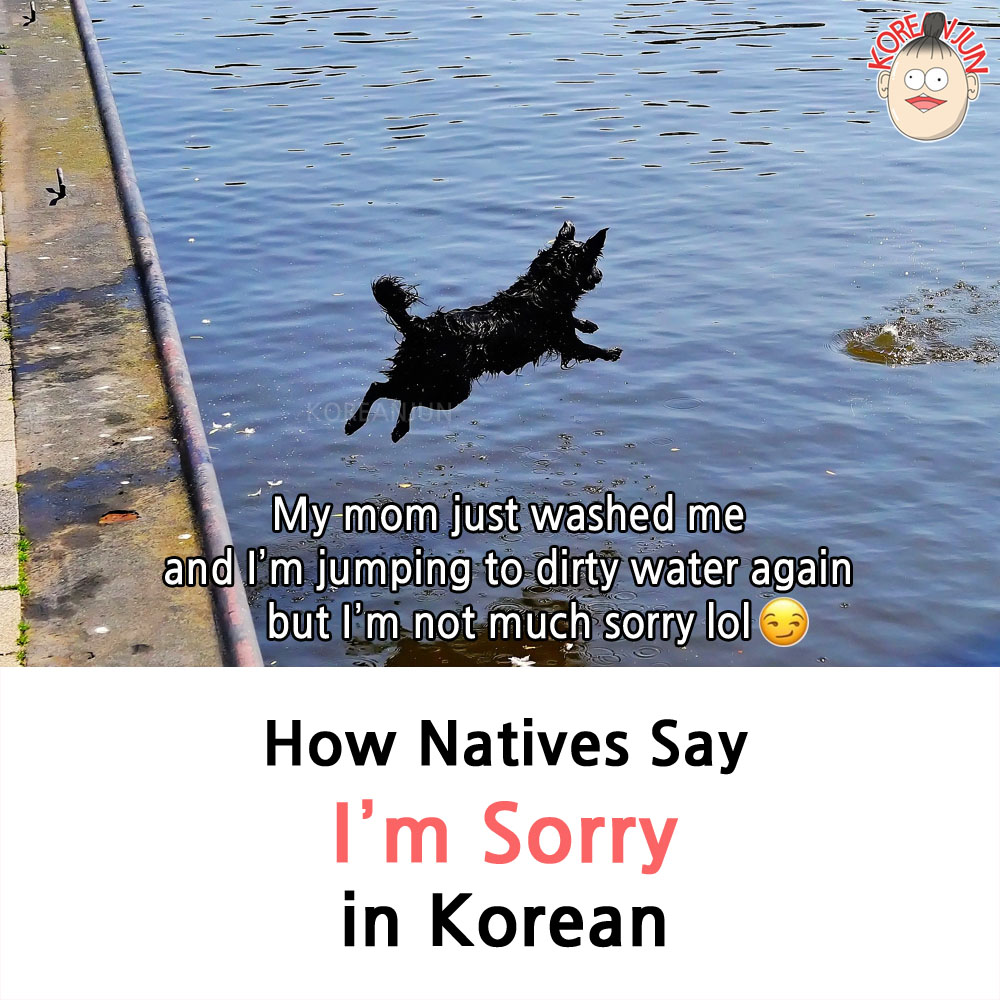 I'm Sorry in Korean 1