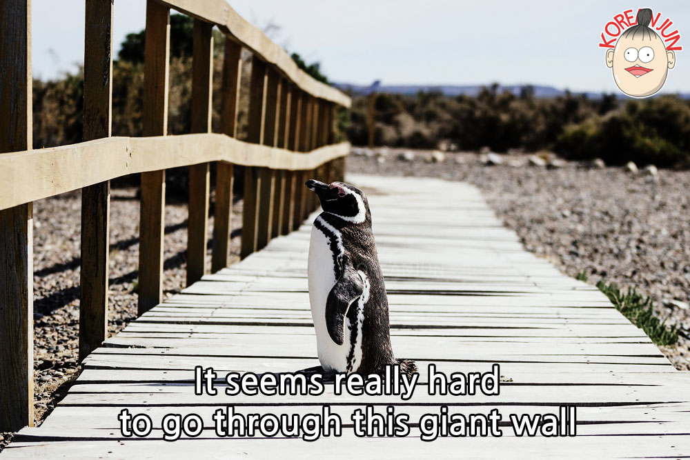 It's Hard in Korean Featured