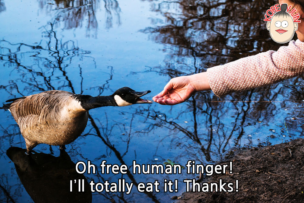 -ㄹ게요 Ending in Korean Featured