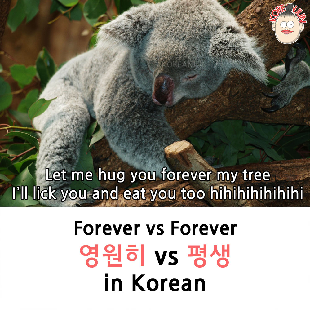 영원히 vs 평생 in Korean 1