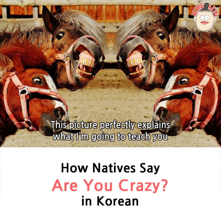  Meaning Archives Korean Jun